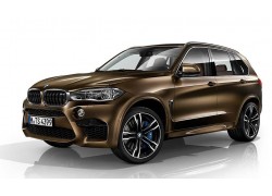 Блокиратор рулевого вала Гарант Блок для BMW X5 (F15) 2013-2018 Блокиратор рулевого вала Гарант Блок для BMW X5 (F15) 2013-2018